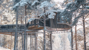Boende Granö Beckasin